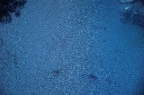 11020610