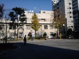 15674543.jpg
