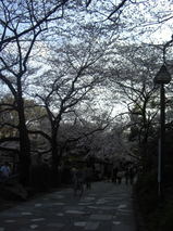 08032618