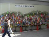 1bcd6cd0.jpg