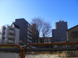 21a71581.jpg