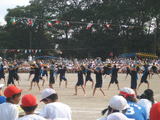 2725f4e8.jpg
