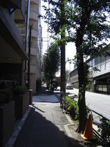28b1d41d.jpg