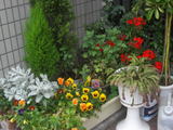 28bd8470.jpg