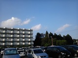 294597d8.jpg