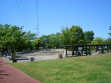 2a088269.jpg
