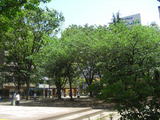 2d340199.jpg