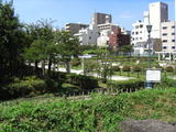 2f6322ea.jpg