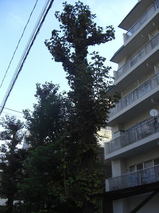 3558c39c.jpg