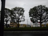 3562cb17.jpg