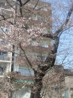 14032906