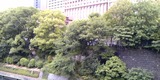419f348b.jpg