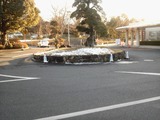 41ded5a3.jpg