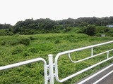 42d3d903.jpg
