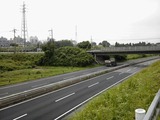 42d57f4e.jpg
