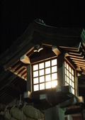 11020104