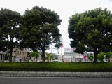 47c1f11d.jpg