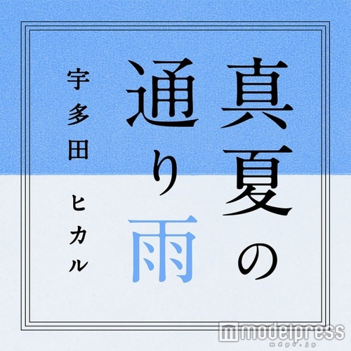 ��16071403