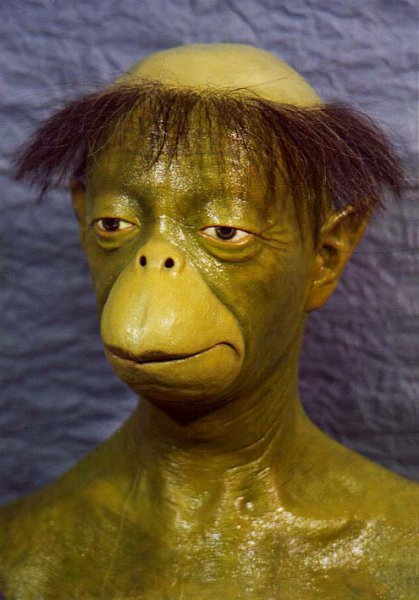 手賀沼には河童がいる 将門ｗｅｂ