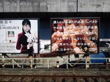 52b06421.jpg