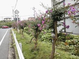 56e47e69.jpg