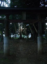 590c1c49.jpg