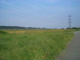 594a963a.jpg