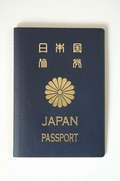 11042904