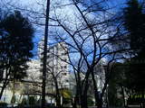 616c4b03.jpg