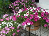 6f2744b1.jpg