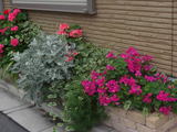 73ef0086.jpg