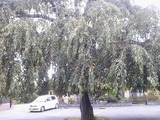 7d94f181.jpg