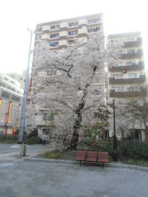 14040102