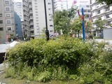 8f3e6217.jpg