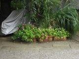 9101a059.jpg