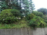 91f6fbcf.jpg