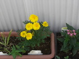 9d292026.JPG