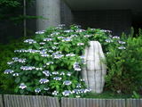 a5f6914f.jpg