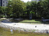 a6905c62.jpg