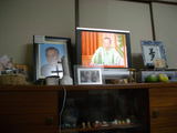 ade94be6.jpg