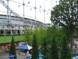 ae383675.jpg