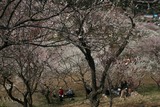 12010315