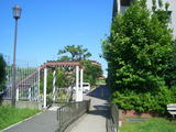 afb77901.jpg