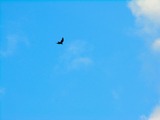 12070303
