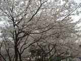 b3b4f023.jpg