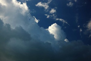 13041306