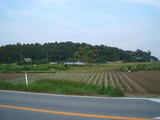 bd09cc25.jpg