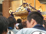 c17a374f.jpg