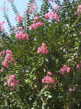 08091201