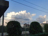 12100604